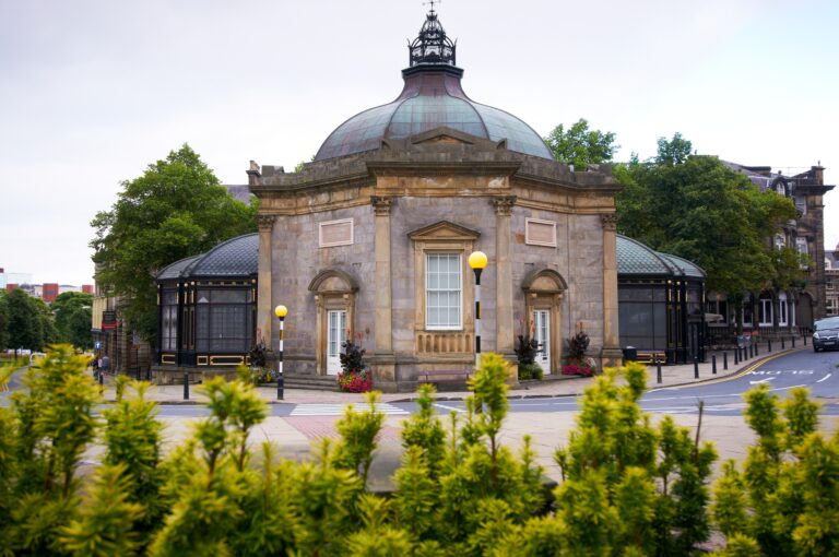 439253803 941564817766970 2361784614342891870 n 768x510