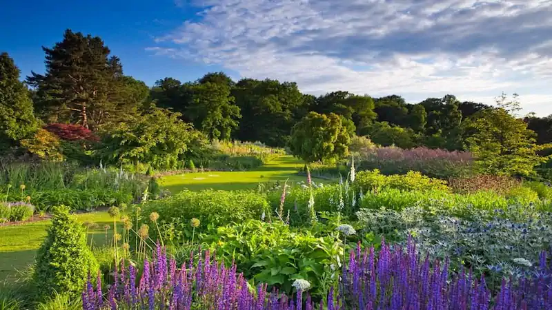 RHS Garden Harlow Carr