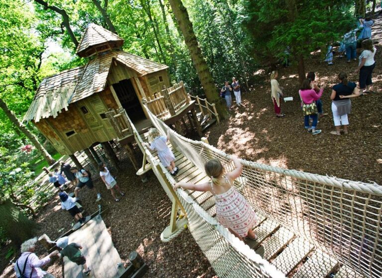 the craggletop treehouse 768x559